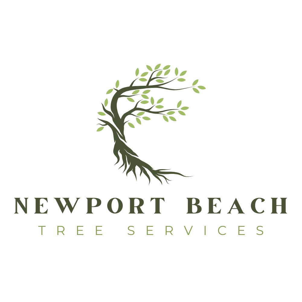 Newport Beach Tree Services